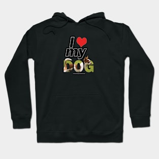 I love (heart) my dog - Chihuahua oil painting word art Hoodie